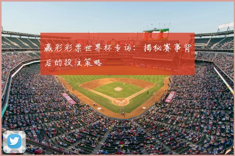 赢彩彩票世界杯专访：揭秘赛事背后的投注策略