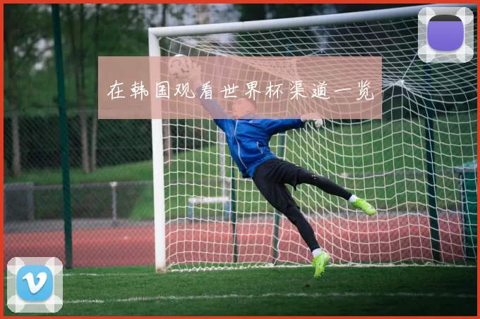 在韩国观看世界杯渠道一览