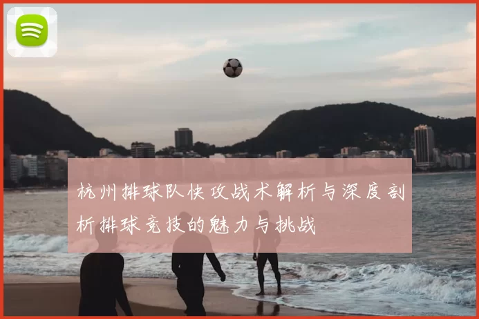 杭州排球队快攻战术解析与深度剖析排球竞技的魅力与挑战