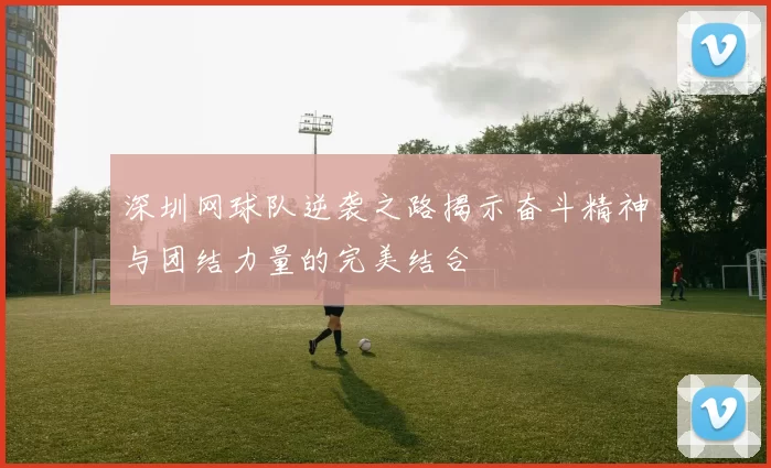 深圳网球队逆袭之路揭示奋斗精神与团结力量的完美结合