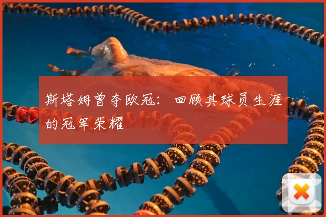 斯塔姆曾夺欧冠:回顾其球员生涯的冠军荣耀