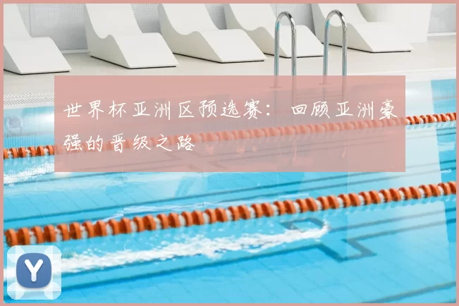 世界杯亚洲区预选赛：回顾亚洲豪强的晋级之路