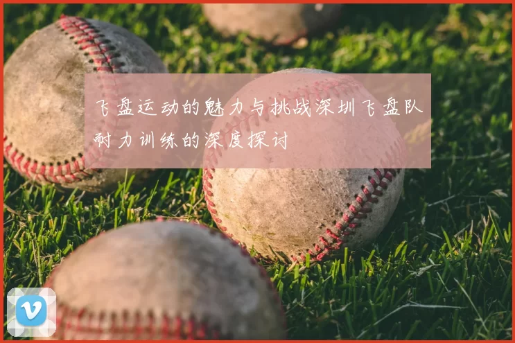 飞盘运动的魅力与挑战深圳飞盘队耐力训练的深度探讨