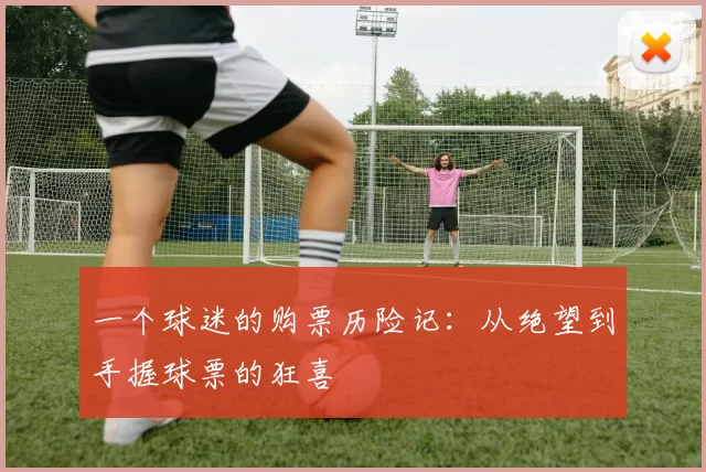 一个球迷的购票历险记:从绝望到手握球票的狂喜