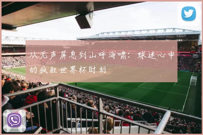 从无声屏息到山呼海啸:球迷心中的疯狂世界杯时刻