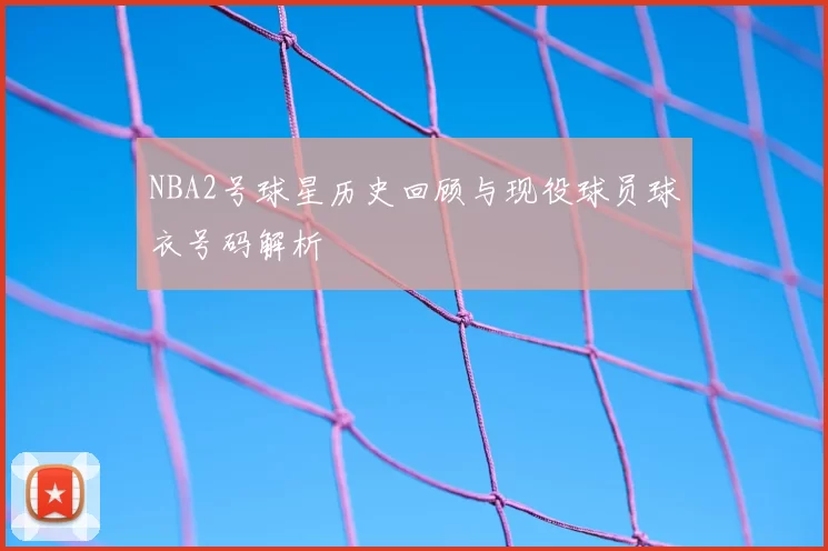 NBA2号球星历史回顾与现役球员球衣号码解析