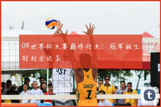 OW世界杯决赛巅峰对决:冠军诞生时刻全记录