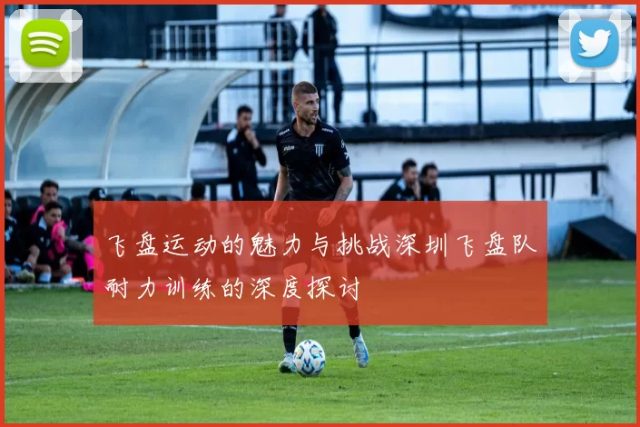 飞盘运动的魅力与挑战深圳飞盘队耐力训练的深度探讨