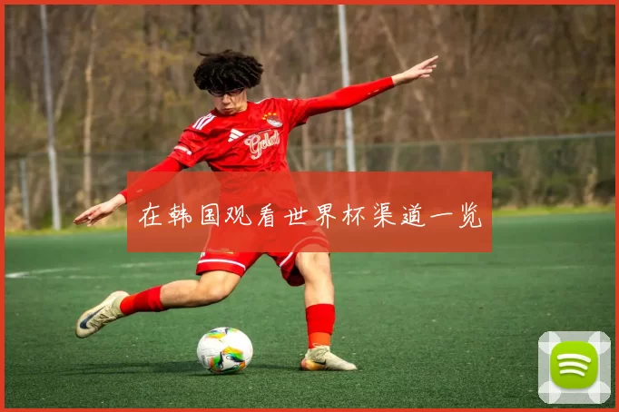 在韩国观看世界杯渠道一览