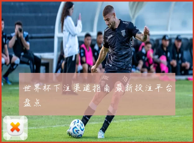 世界杯下注渠道指南 最新投注平台盘点